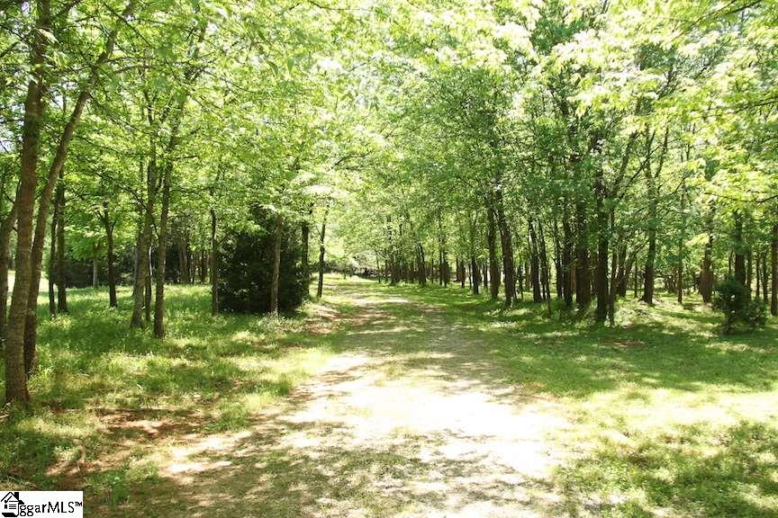 2364 County Line Road Cross Hill, SC 29332 - Photo 27 of 35 Secluded drive in through a canopy of trees