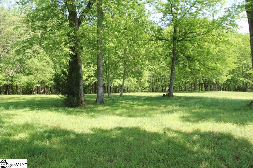 2364 County Line Road Cross Hill, SC 29332 - Photo 31 of 35 Gallery Image 31