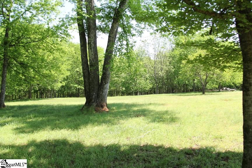 2364 County Line Road Cross Hill, SC 29332 - Photo 32 of 35 Gallery Image 32