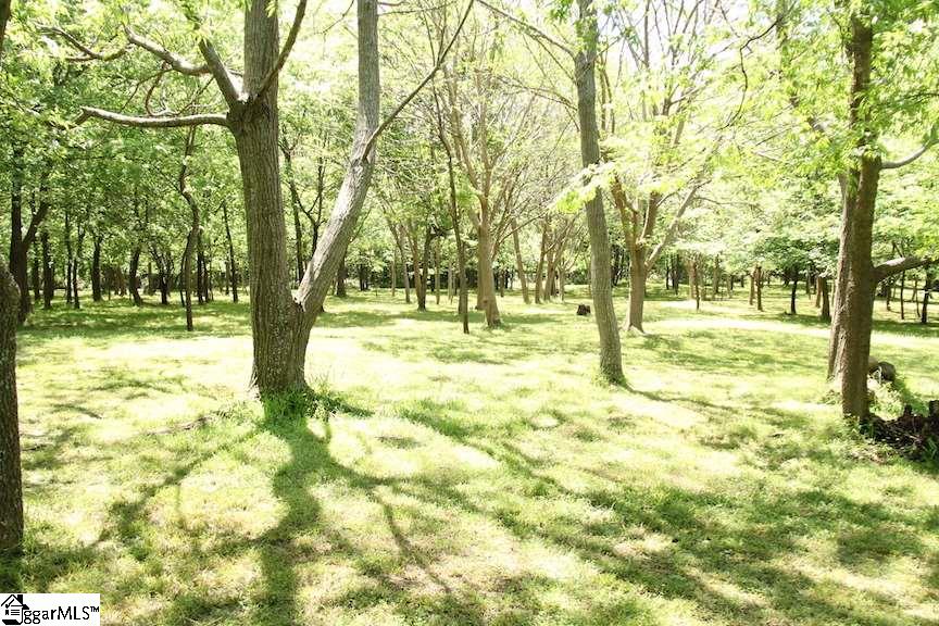 2364 County Line Road Cross Hill, SC 29332 - Photo 33 of 35 Gallery Image 33