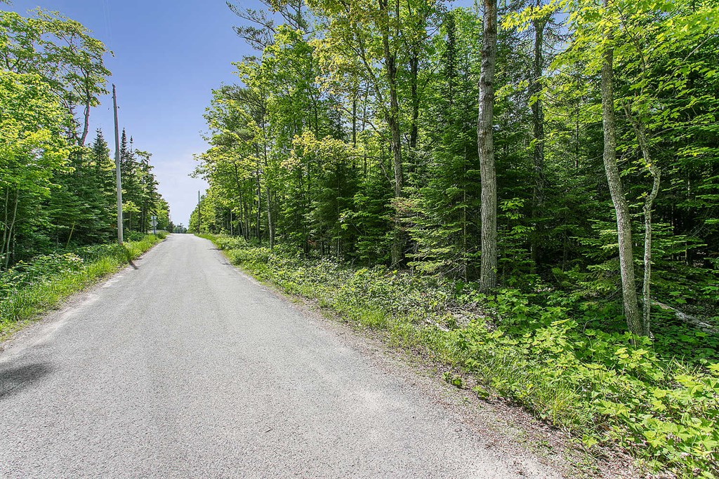 Lot 1 Jorns Road Sturgeon Bay, WI 54235 - Photo 10 of 11
