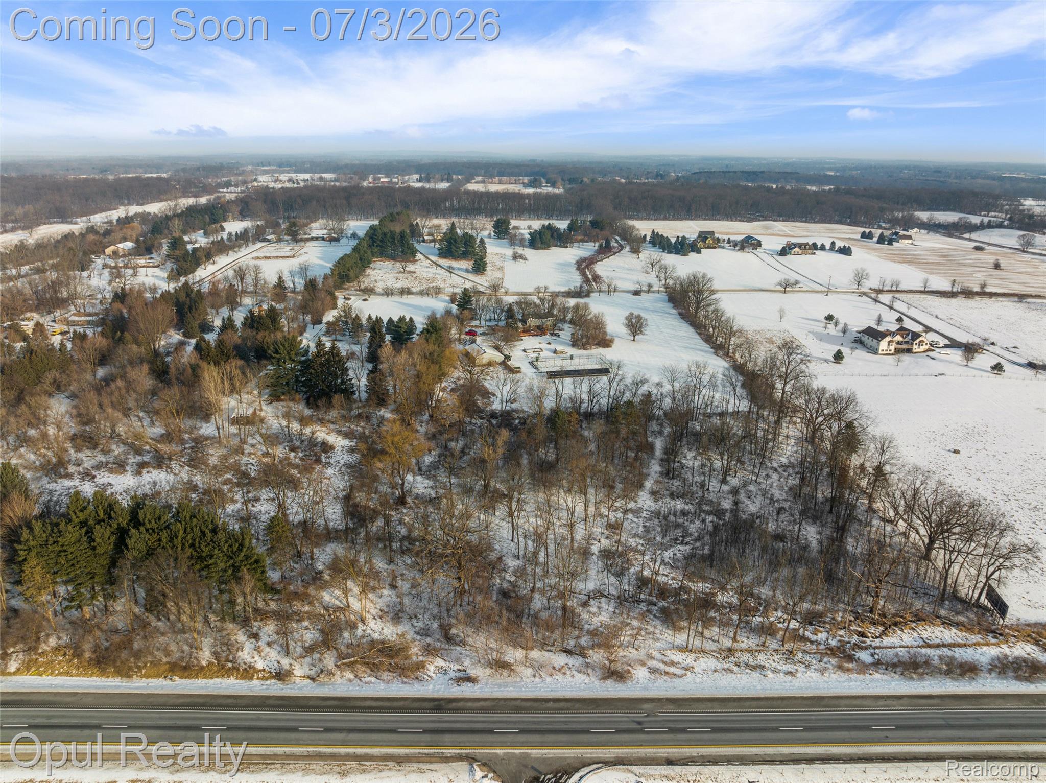 8855 Gross Road Dexter, MI 48130 - Photo 10 of 53 Expansive acreage featuring a mix of cleared land and mature trees, with a visible roadway at the property's edge