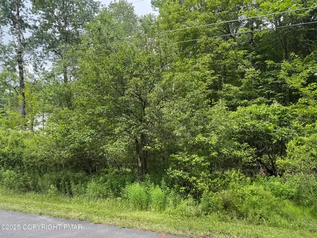 $29,500 | 14 Greenwood Drive, Blakeslee, PA 18610