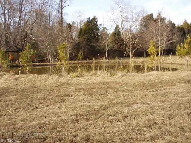864 Wilson Road Linwood, NC 27299 - Photo 5 of 9 Other. Pond