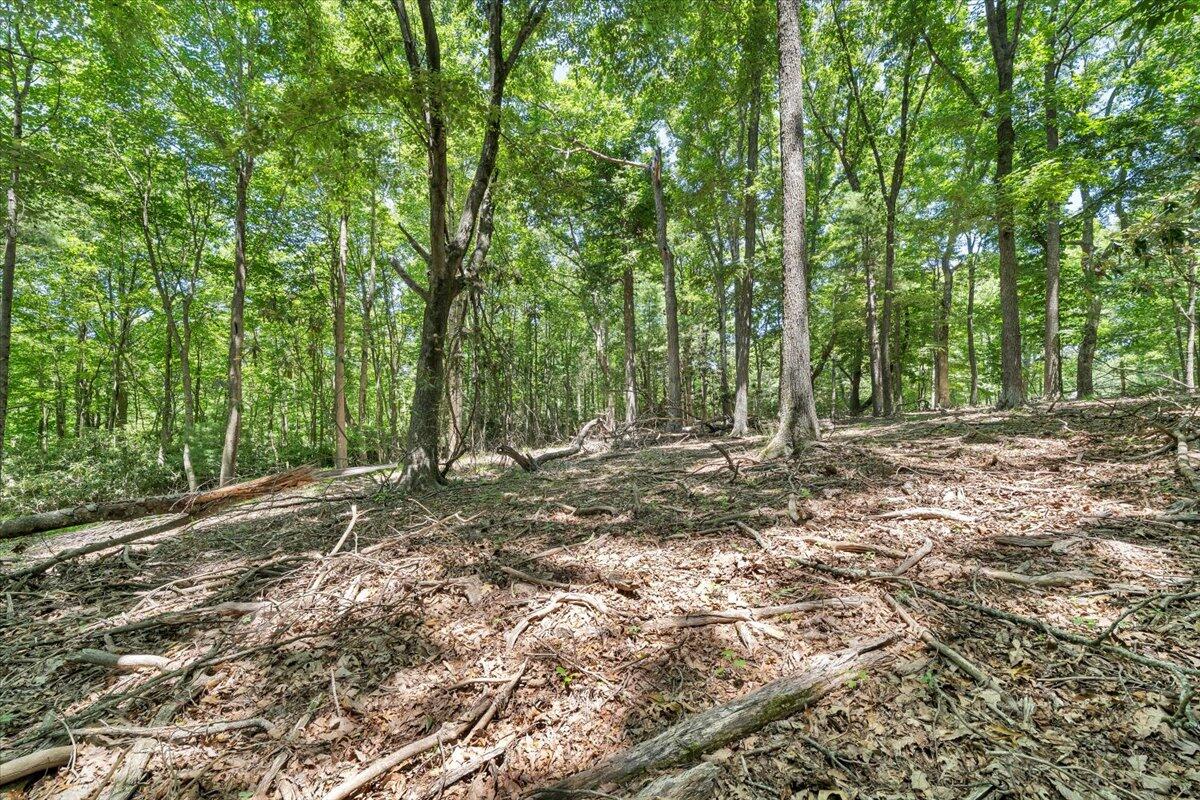 Tbd Dogwood Ridge Fancy Gap, VA 24328 - Photo 9 of 24 22-MIB08744