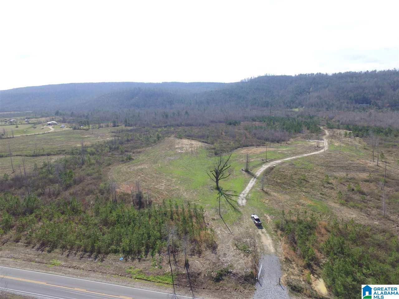 Shoal Creek Road, Unit 4 Springville, AL 35146 - Photo 3 of 10