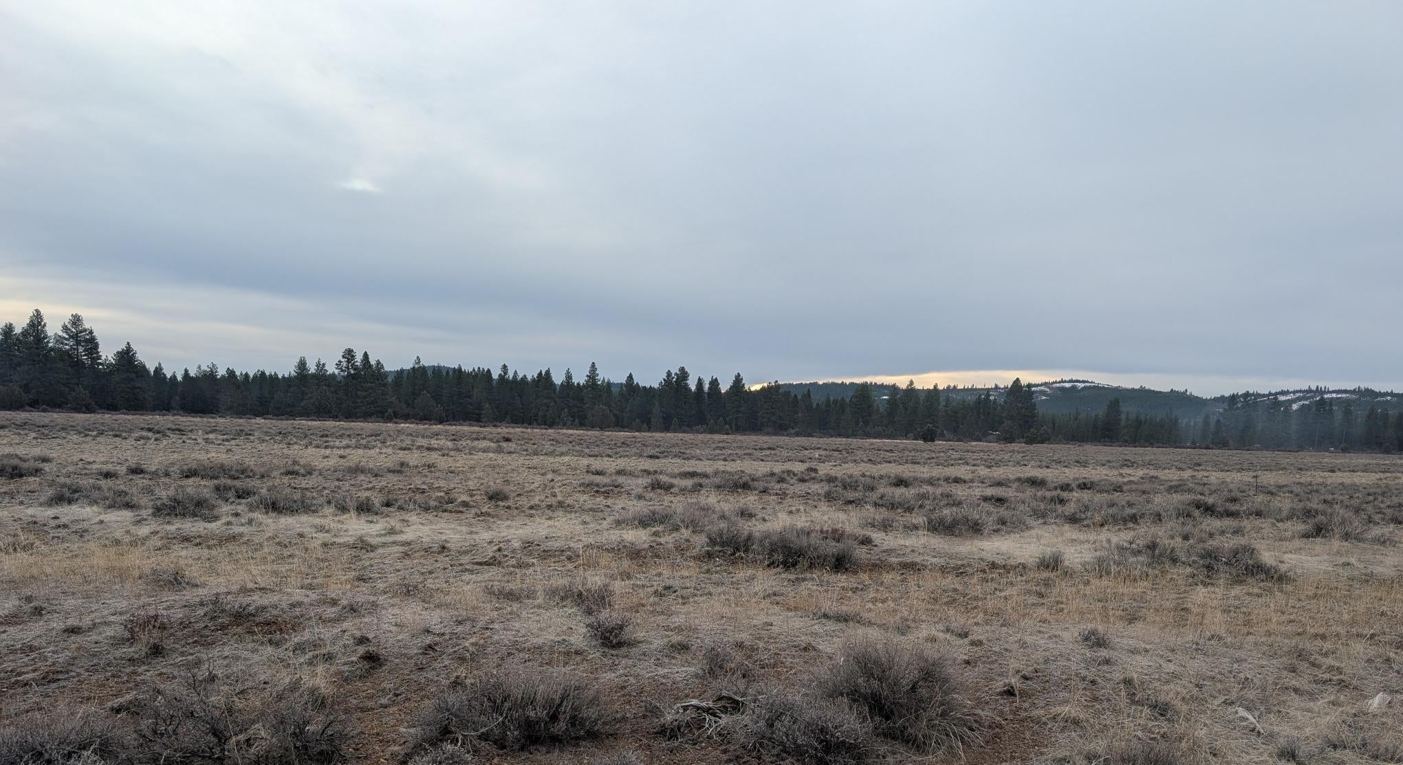 0 Bliss Road Sprague River, OR 97639 - Photo 1 of 5 01