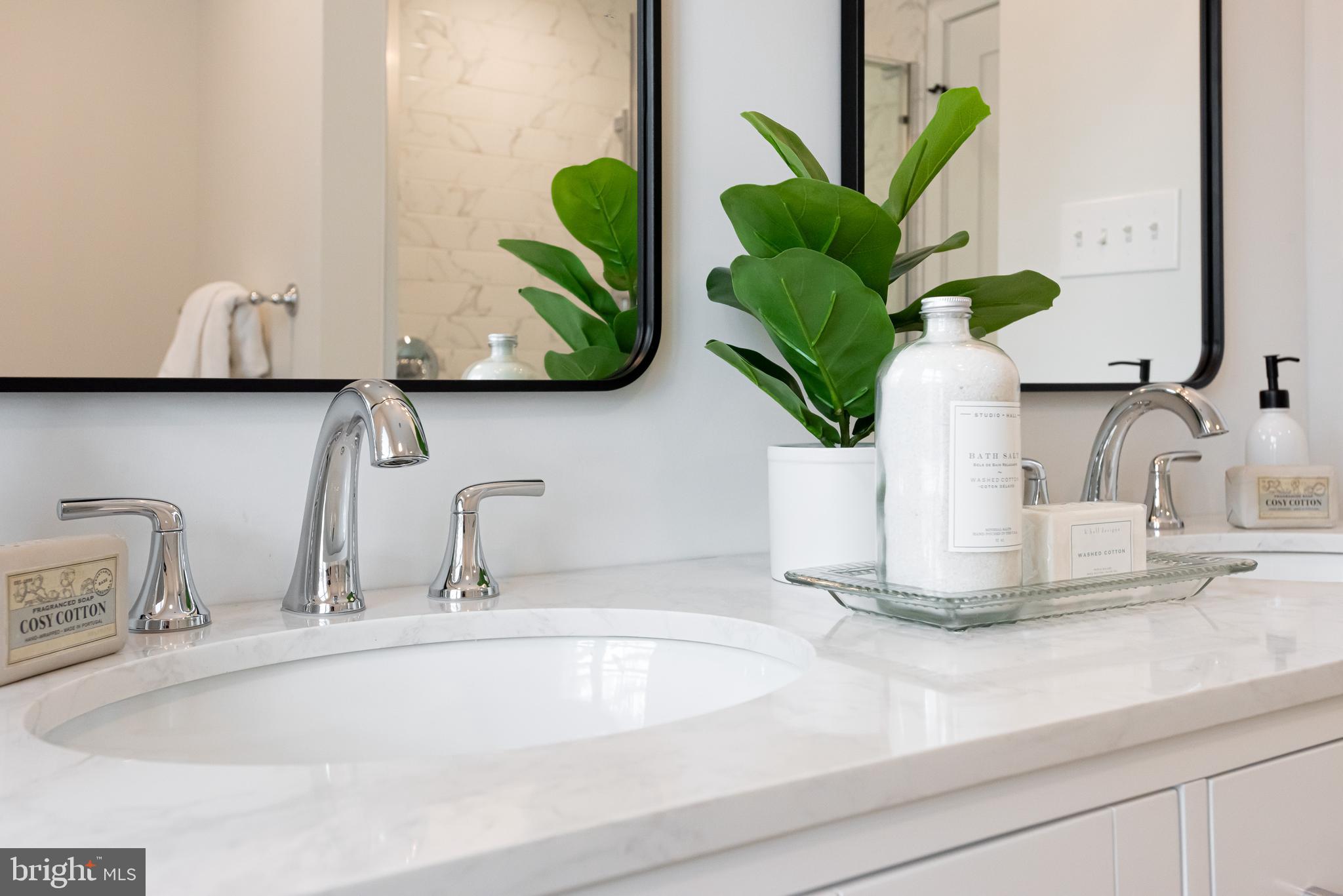 670 Leopard Road Berwyn, PA 19312 - Photo 36 of 52 a close view of sink with a potted plant on it and a sink