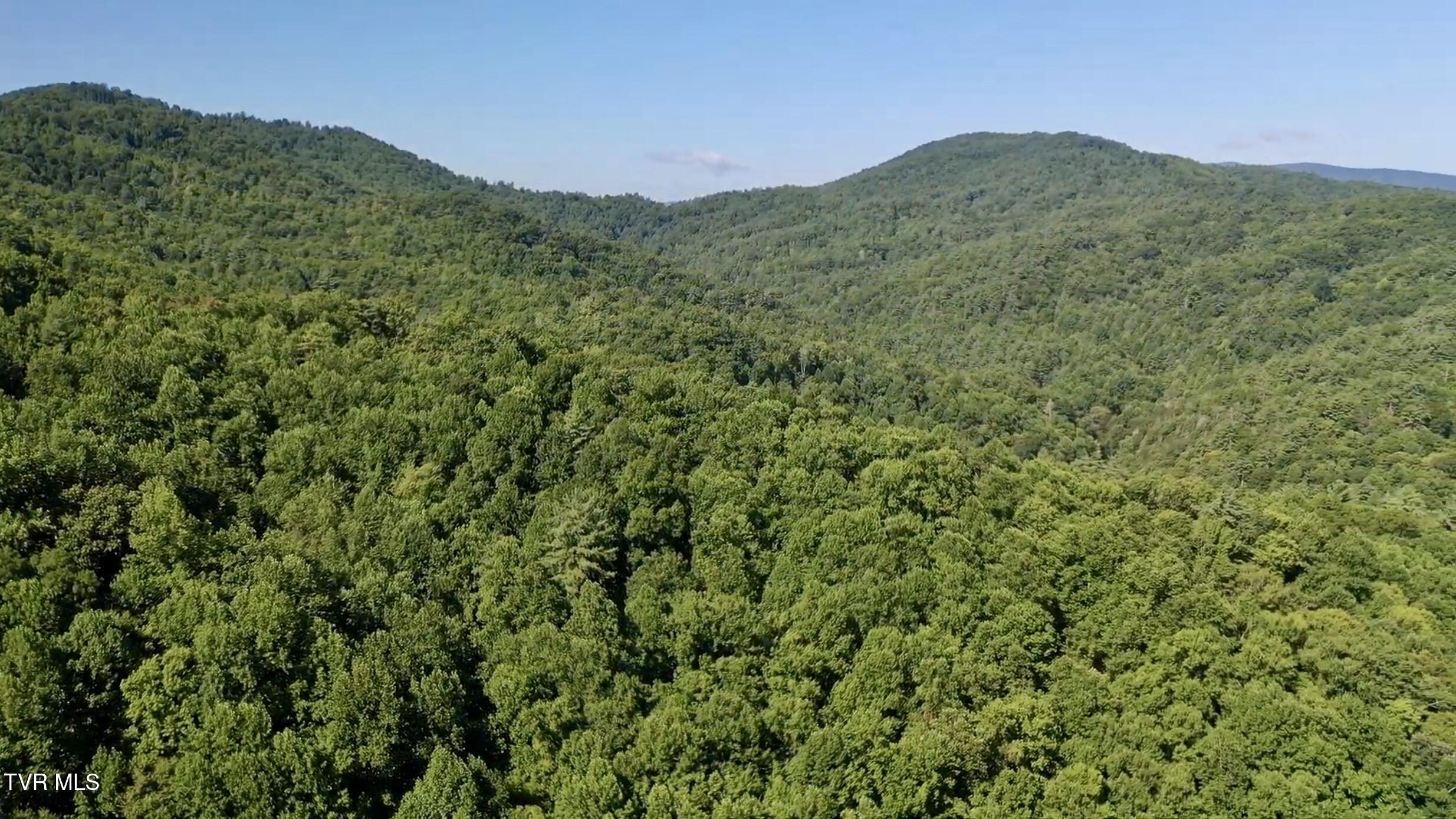 29.38-acre 29.38-acre Bull Mtn Road Del Rio, TN 37727 - Photo 22 of 30 _Pic22 (7)