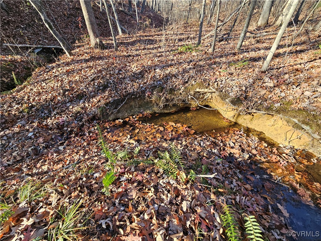 Tbd Shelton Store Road Wingina, VA 24599 - Photo 8 of 21 View of local wilderness