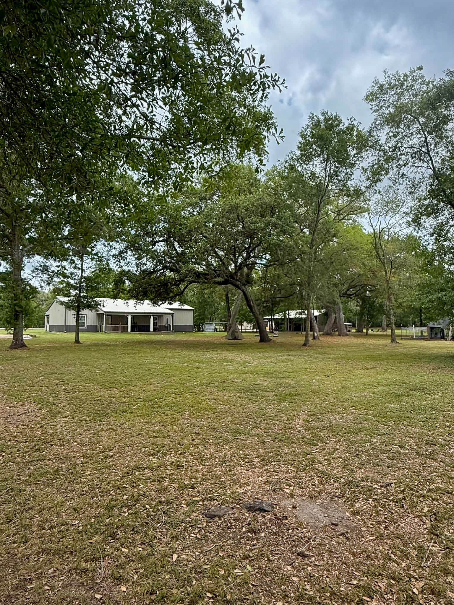 107 County Road 409 Sweeny, TX 77480 - Photo 18 of 20 Spacious yard with mature trees and a view of a modern, single-story home with a covered patio, offering a serene, natural setting.