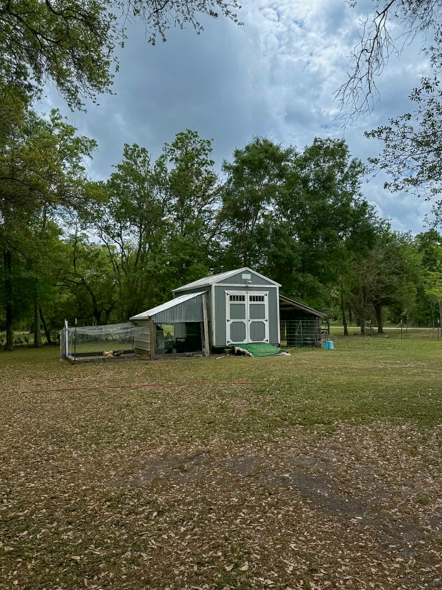 107 County Road 409 Sweeny, TX 77480 - Photo 19 of 20 A rustic shed set amidst a spacious, tree-lined property. Perfect for storage or as a workshop, it offers a serene and private setting with plenty of open space around. **chickens not included