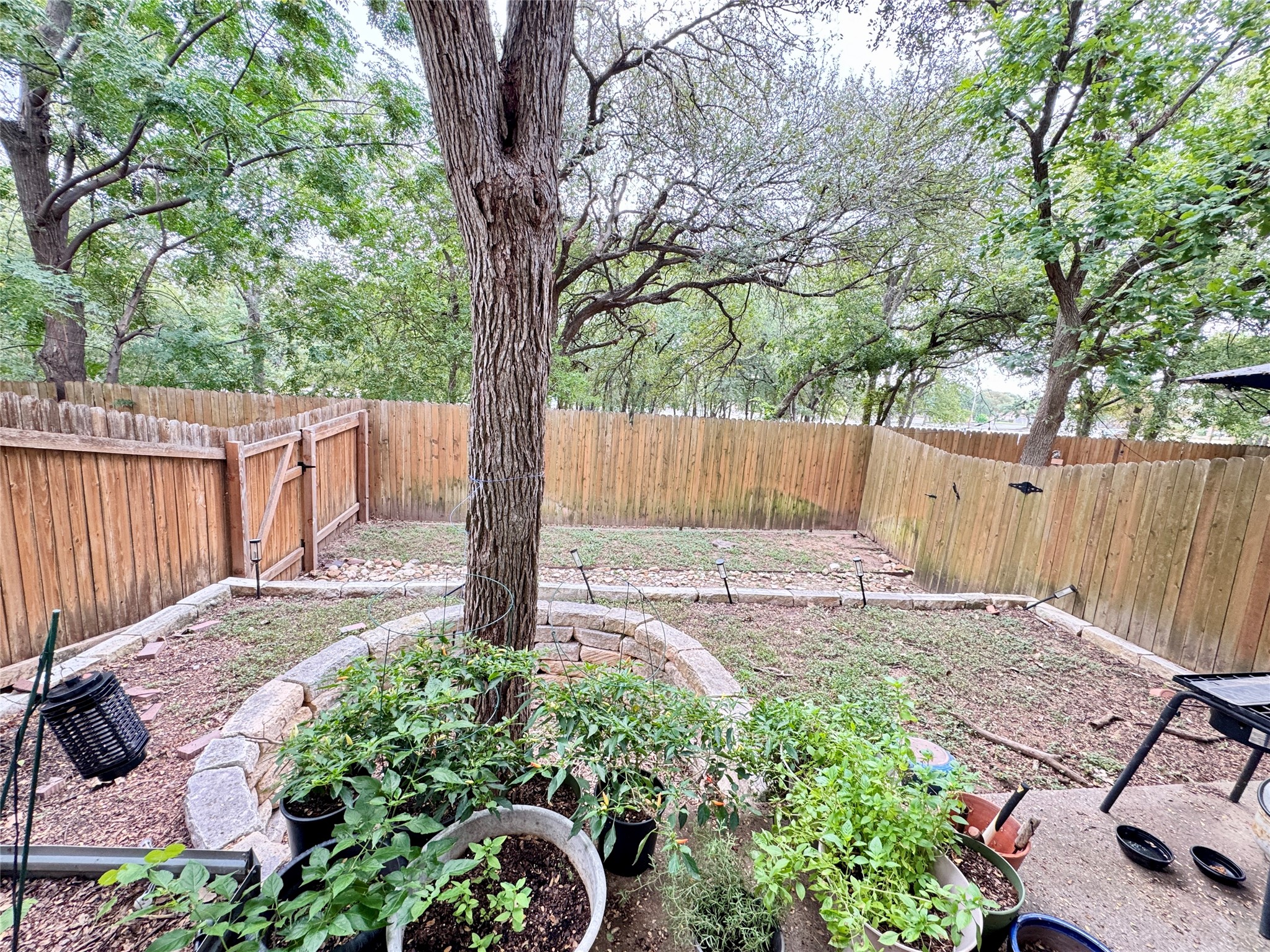 4508 Duval Road, Unit 6602 Austin, TX 78727 - Photo 21 of 23 a view of a backyard with a small cabin and a chair