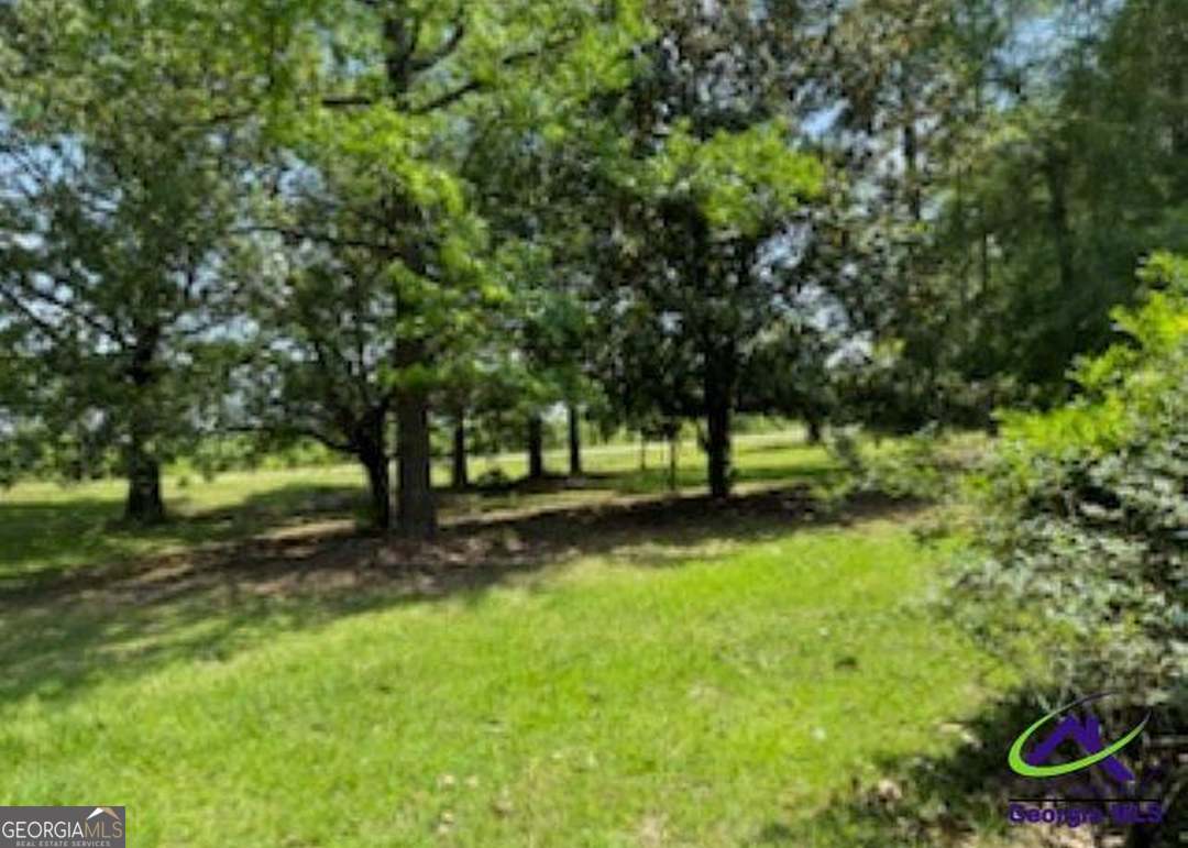 2304 Cummings Road Fort Valley, GA 31030 - Photo 19 of 20 a view of backyard with green space and trees