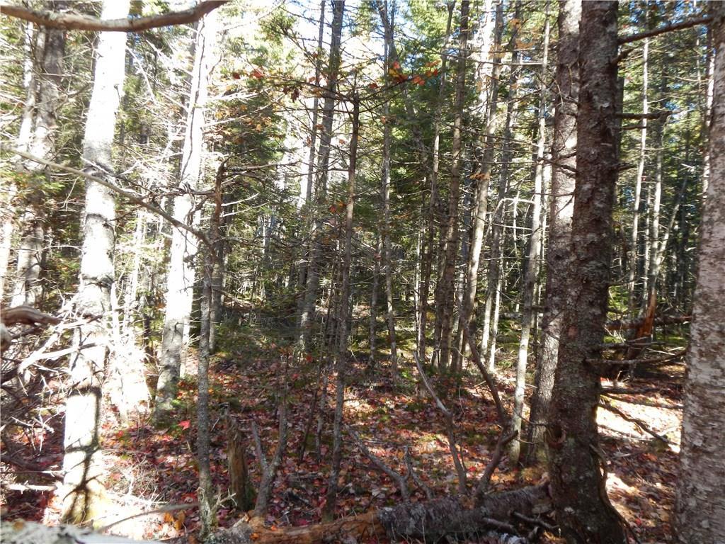 Lot 38 Grand Marsh Bay Road Corea, ME 04624 - Photo 5 of 17 Photo