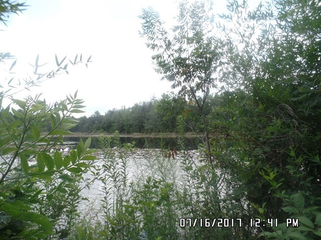 0 Legion Road Blackville, SC 29817 - Photo 5 of 6