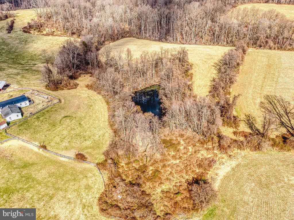 2336 McComas Road White Hall, MD 21161 - Photo 19 of 97