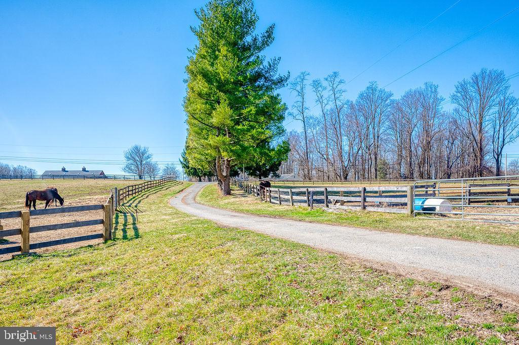 2336 McComas Road White Hall, MD 21161 - Photo 2 of 97