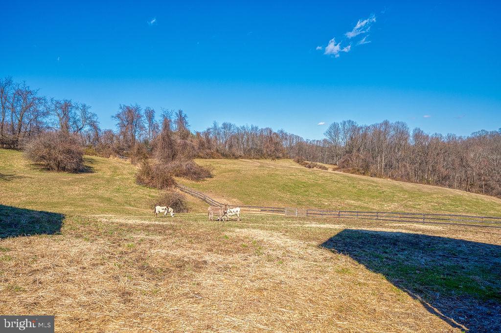 2336 McComas Road White Hall, MD 21161 - Photo 85 of 97
