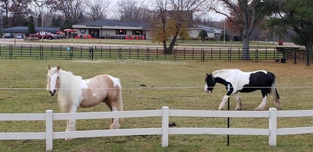 60-acres Freedom Road Tomah, WI 54660 - Photo 80 of 89