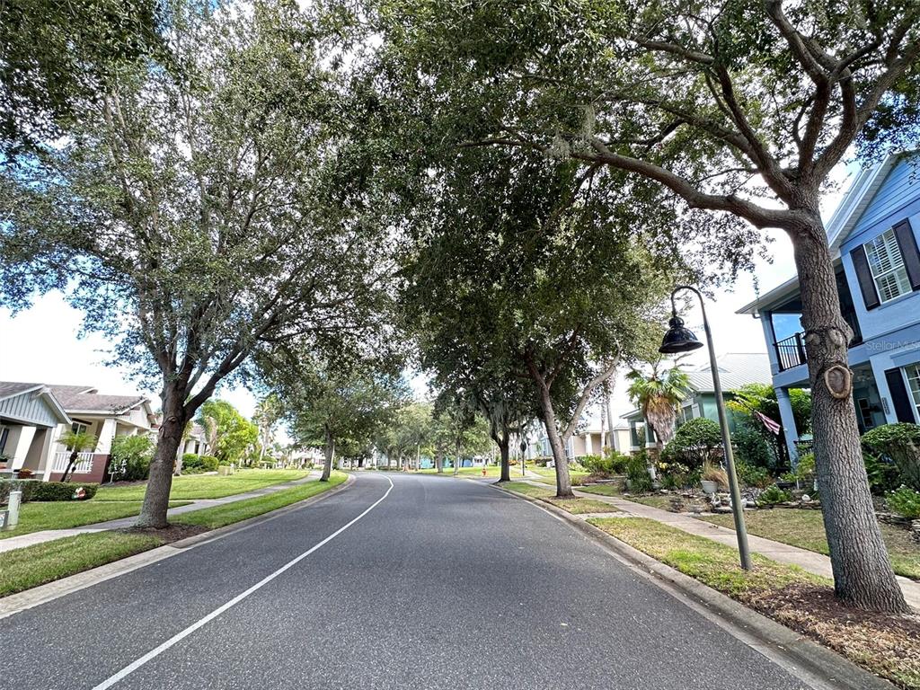 Undisclosed Address Tavares, FL 32778 - Photo 29 of 29 a view of a street with a house and trees in the background