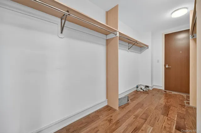 a view of a bedroom with closet and windows