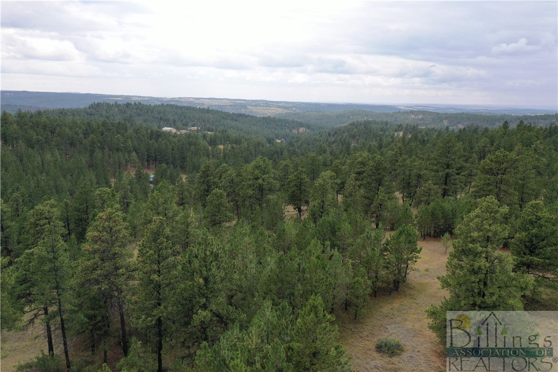 80 Blue Road Roundup, MT 59072 - Photo 1 of 1 Gallery Image 1