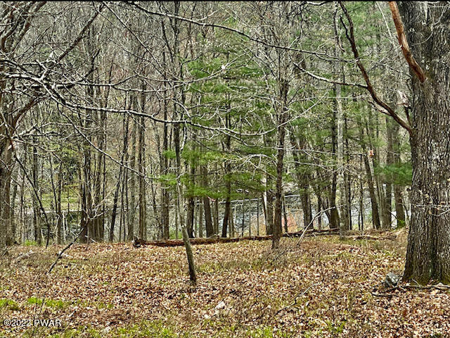 7-8 & 18 Blossom Road Hawley, PA 18428 - Photo 3 of 13