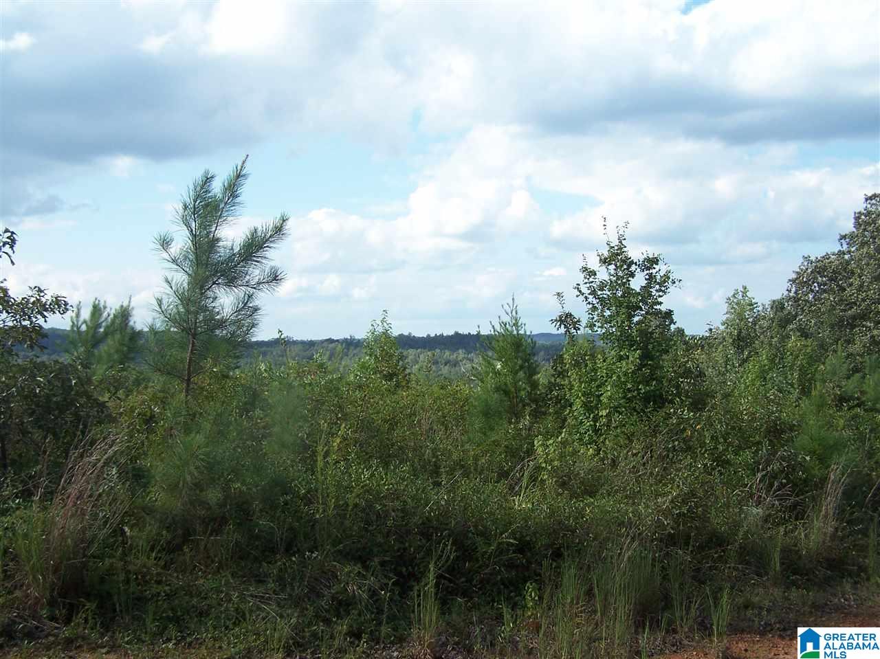 0 Jackson Trail, Unit 140 ACRES Altoona, AL 35952 - Photo 26 of 50