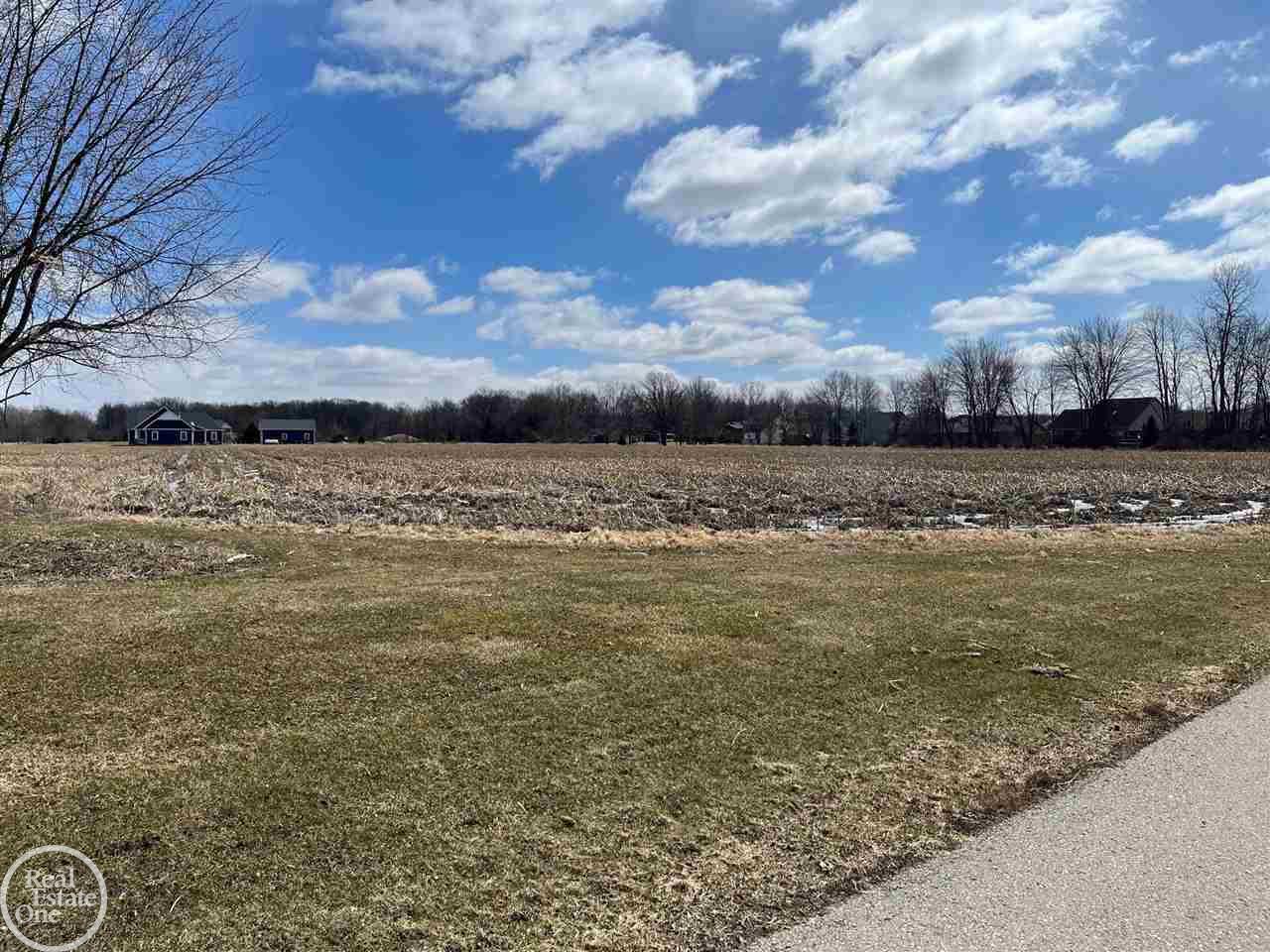 Vacant County Line Road New Baltimore, MI 48047 - Photo 2 of 4