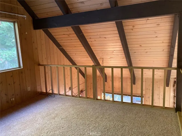 a view of backyard with two chairs and a large tree