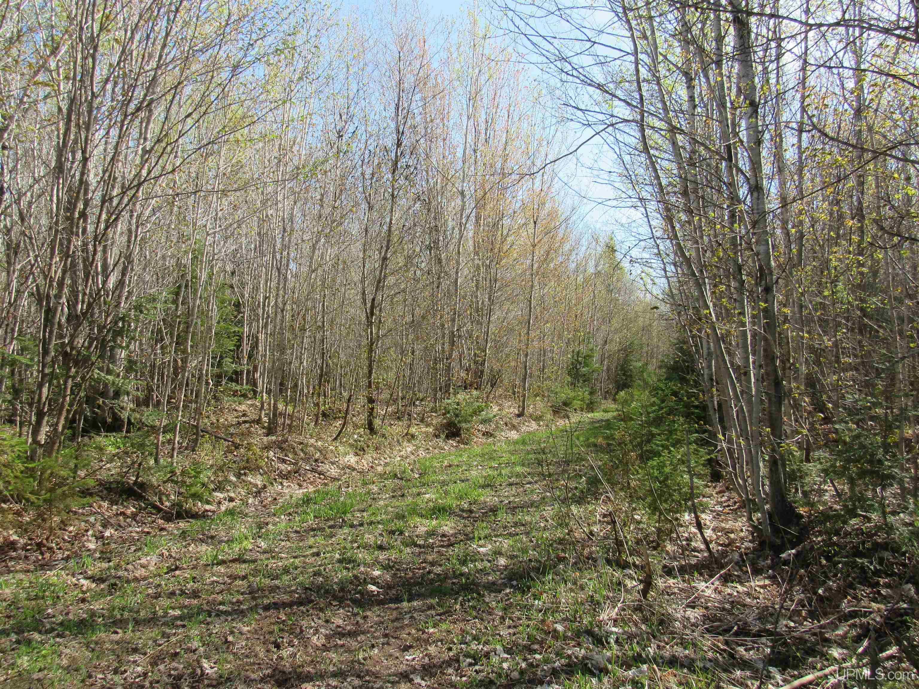 Tbd Off Rice Lake Road, Unit NO DRIVE BYS Lake Linden, MI 49945 - Photo 34 of 40