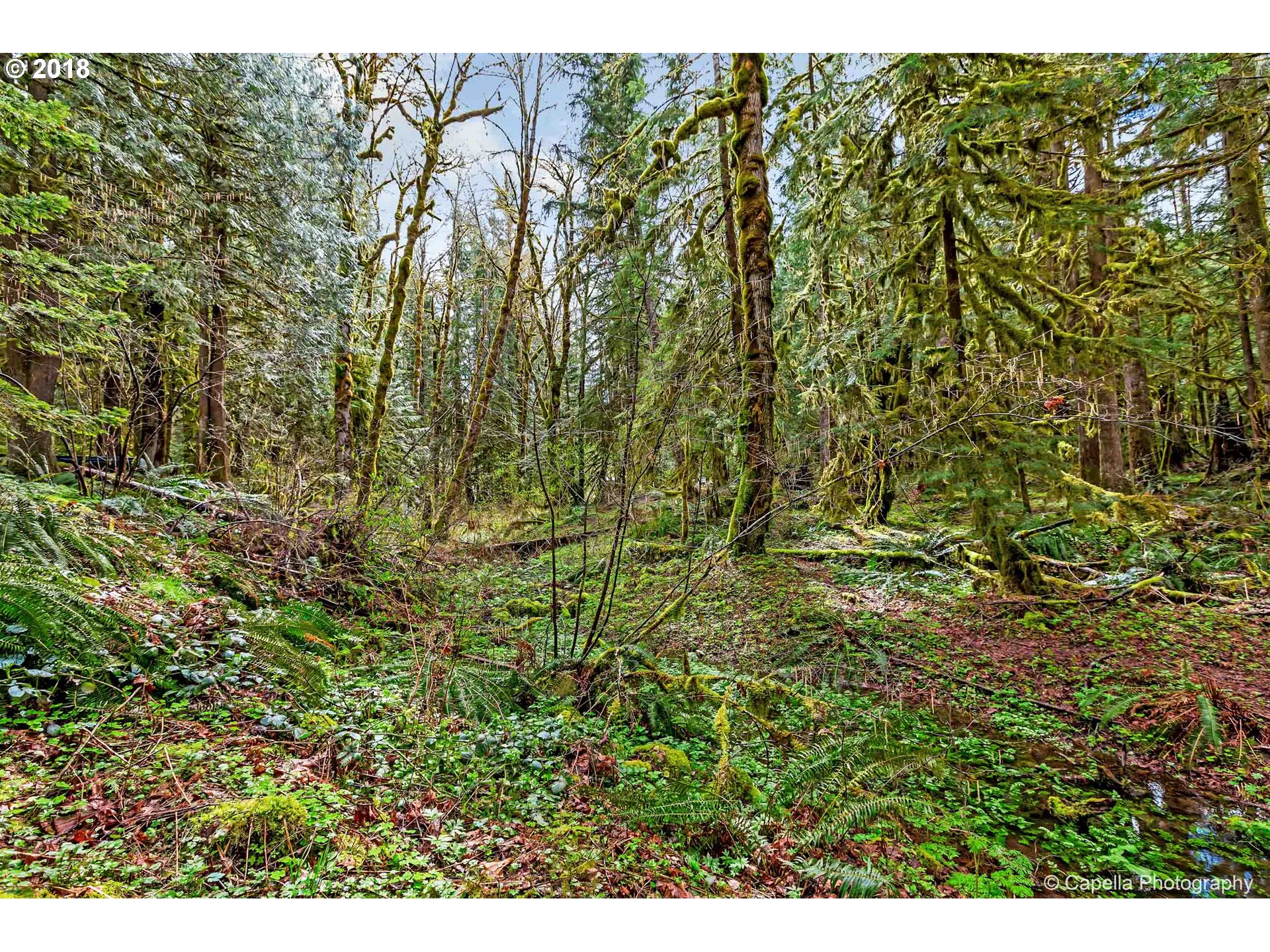 28363 East Welches Road Welches, OR 97067 - Photo 20 of 20 Green Space