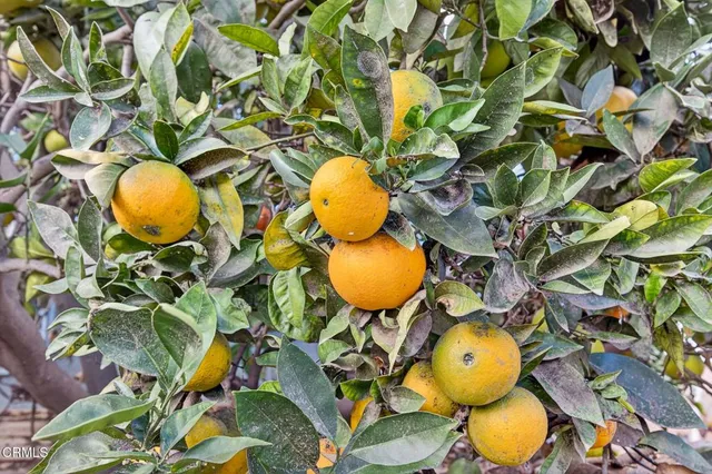 $729,000 | 4105 South J Street, Oxnard, CA 93033