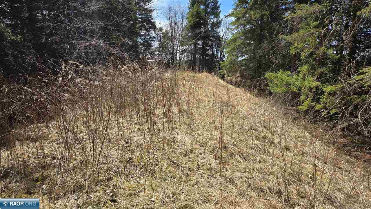 3293 South Greaney Road Orr, MN 55771 - Photo 11 of 17