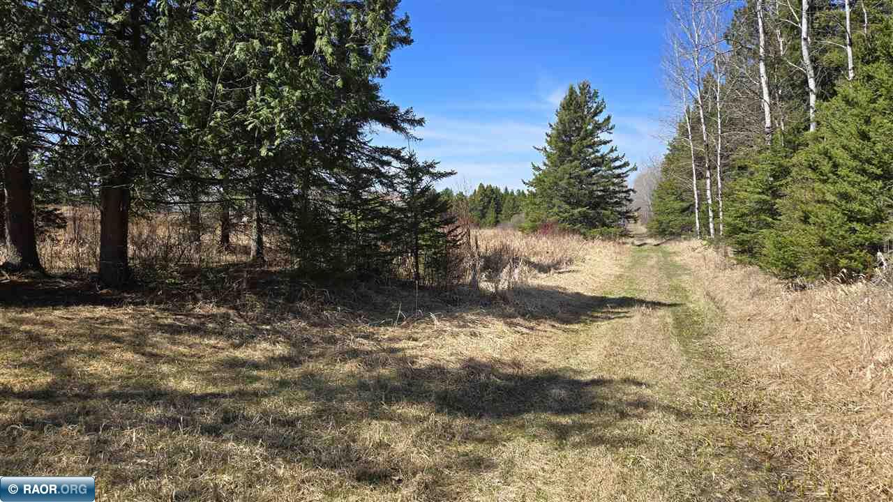 3293 South Greaney Road Orr, MN 55771 - Photo 13 of 17