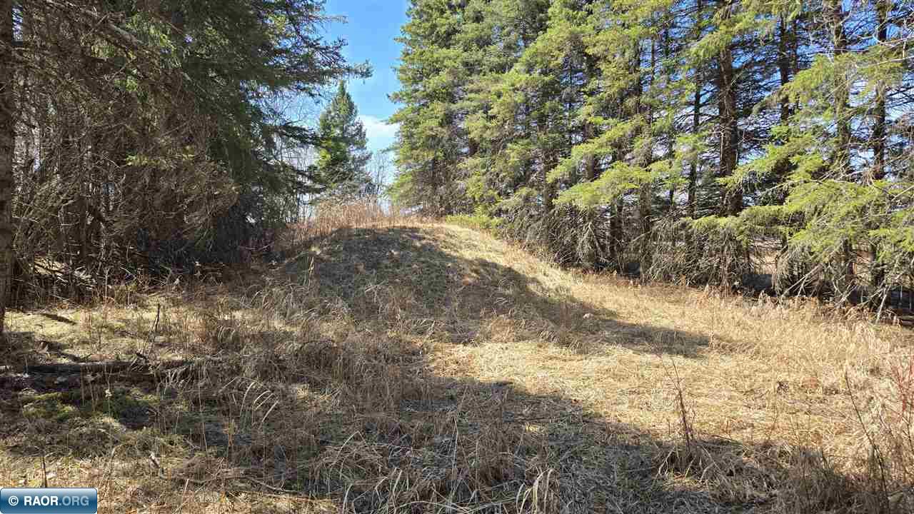3293 South Greaney Road Orr, MN 55771 - Photo 10 of 17
