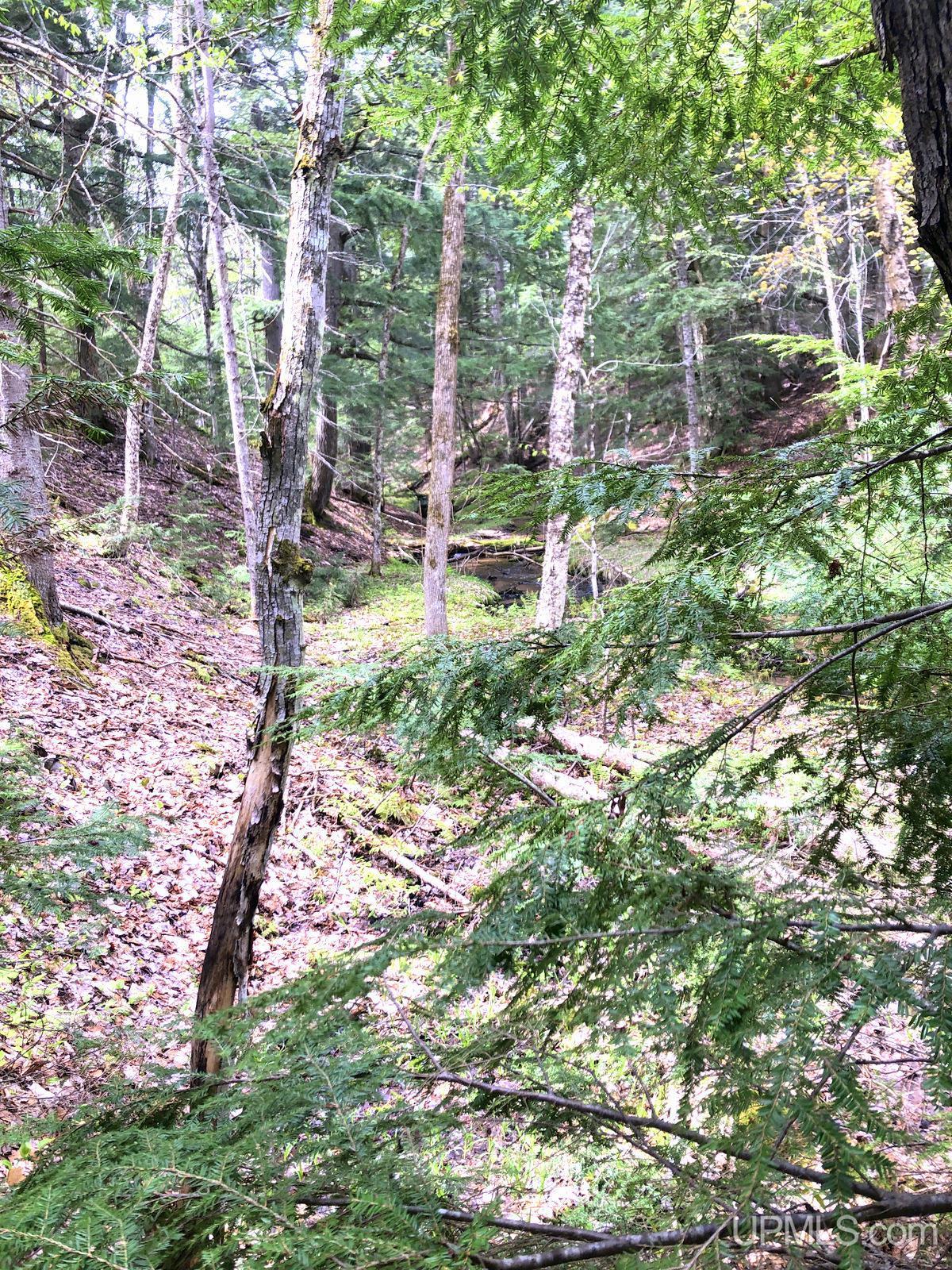 Tbd Tbd Northwestern/camp Road Ishpeming, MI 49849 - Photo 20 of 63