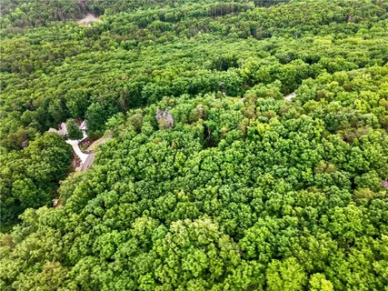 a view of a big yard with lots of green space