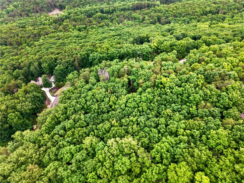 0 Ridgeside Court Jasper, GA 30143 - Photo 17 of 22 a view of a lush green forest