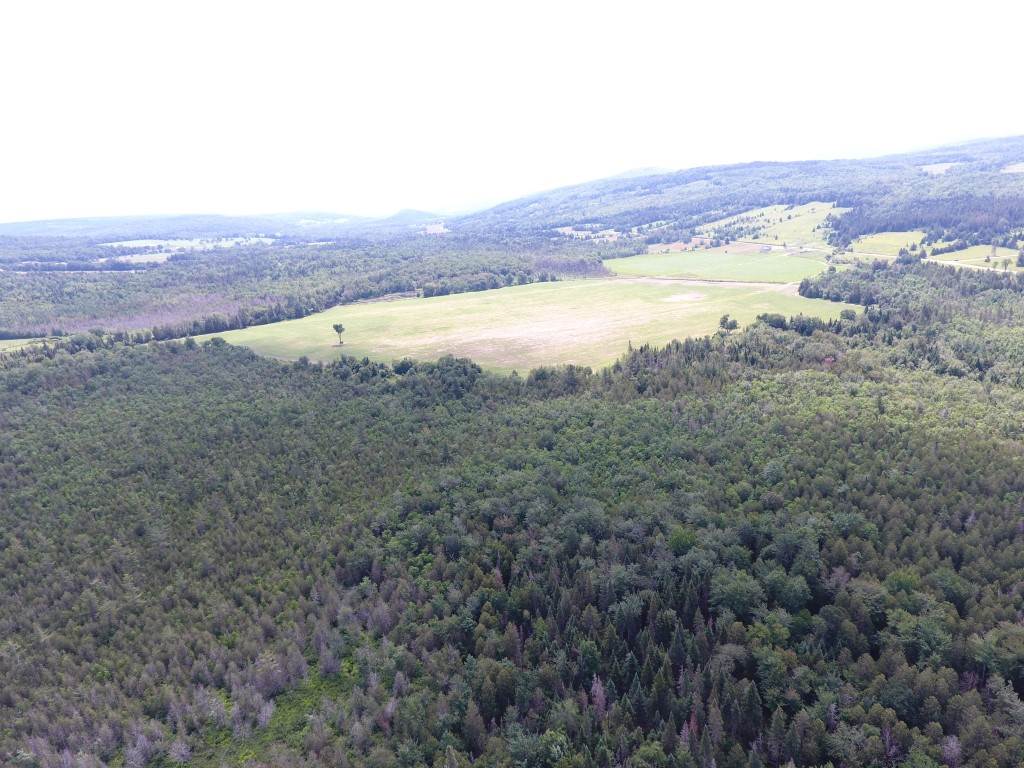 - Hudson Road West Charleston, VT 05872 - Photo 3 of 6 Gallery Image 3