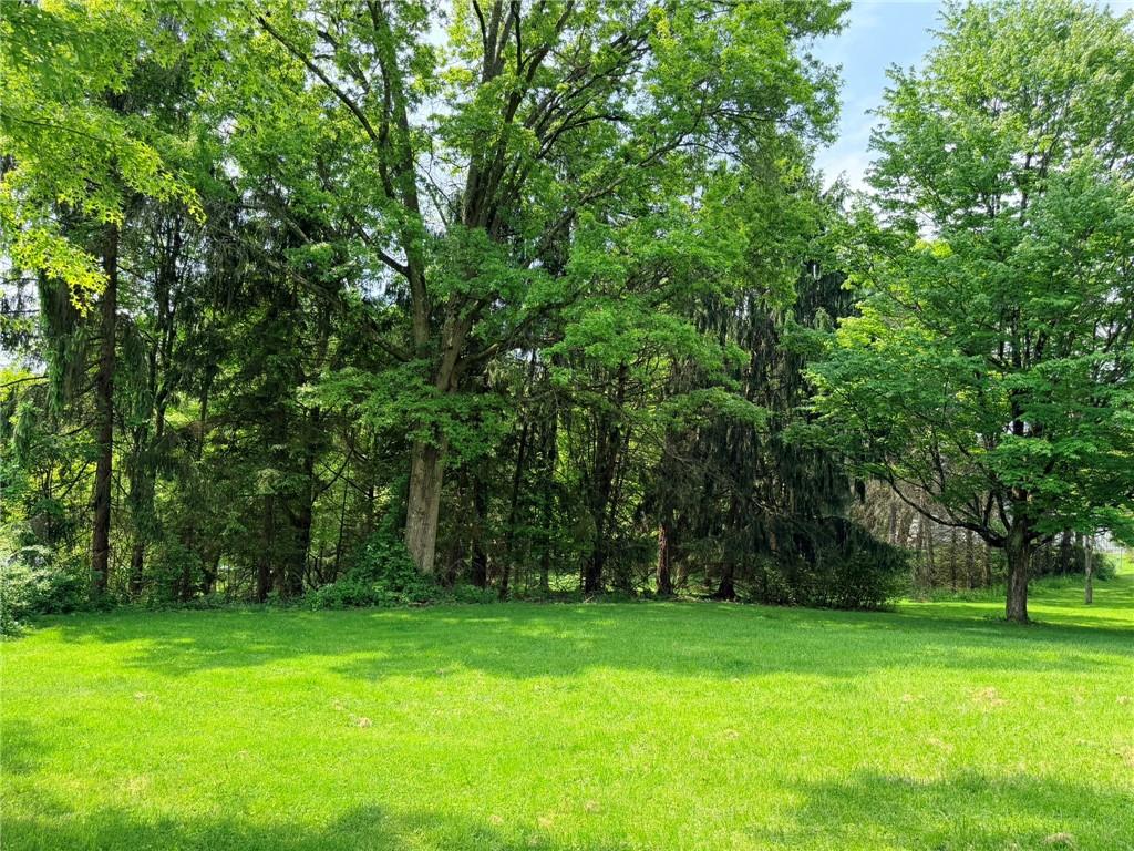 0 Williams Road Burgettstown, PA 15021 - Photo 3 of 12