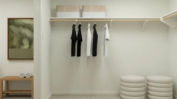 a bathroom with a shower and a toilet