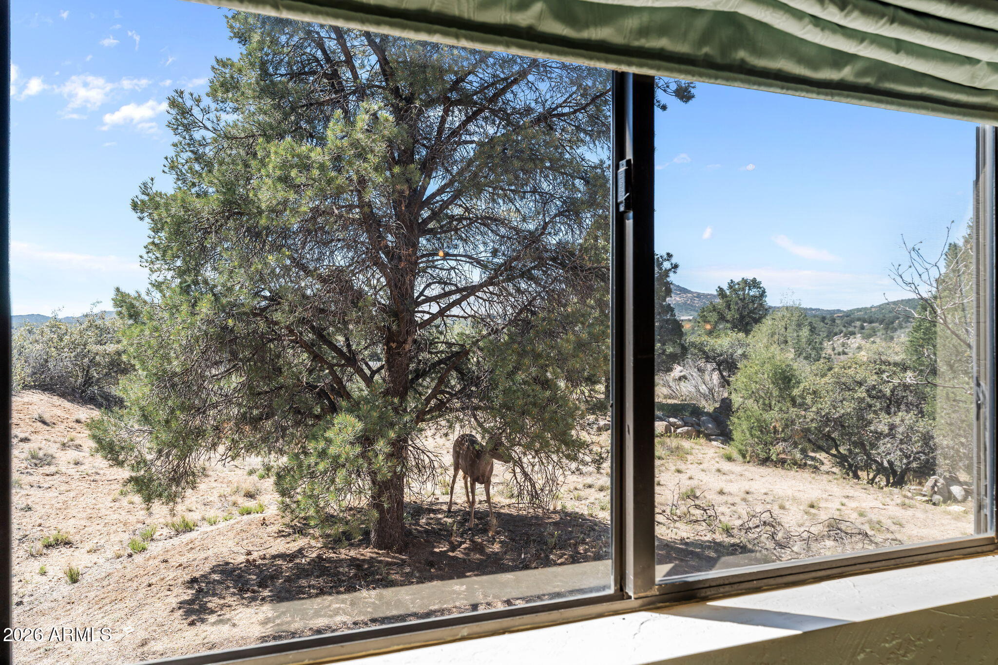 17839 Pinon Lane Peeples Valley, AZ 86332 - Photo 11 of 24 26-web-or-mls-DSC01569