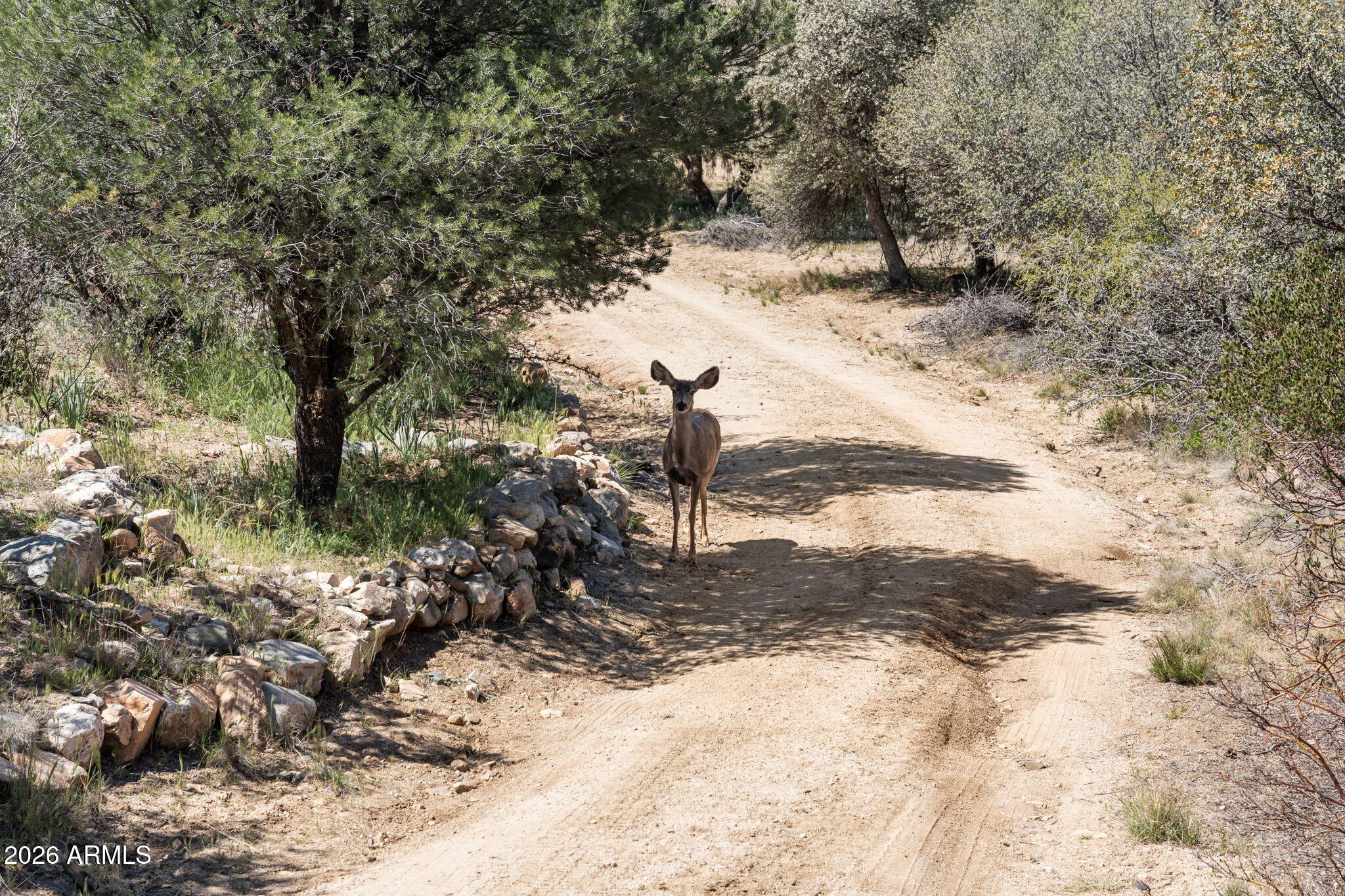 17839 Pinon Lane Peeples Valley, AZ 86332 - Photo 24 of 24 5-web-or-mls-DSC01627