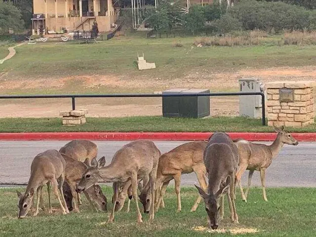 $1,395 | 3404 American Drive, Unit 2216, Lago Vista, TX 78645