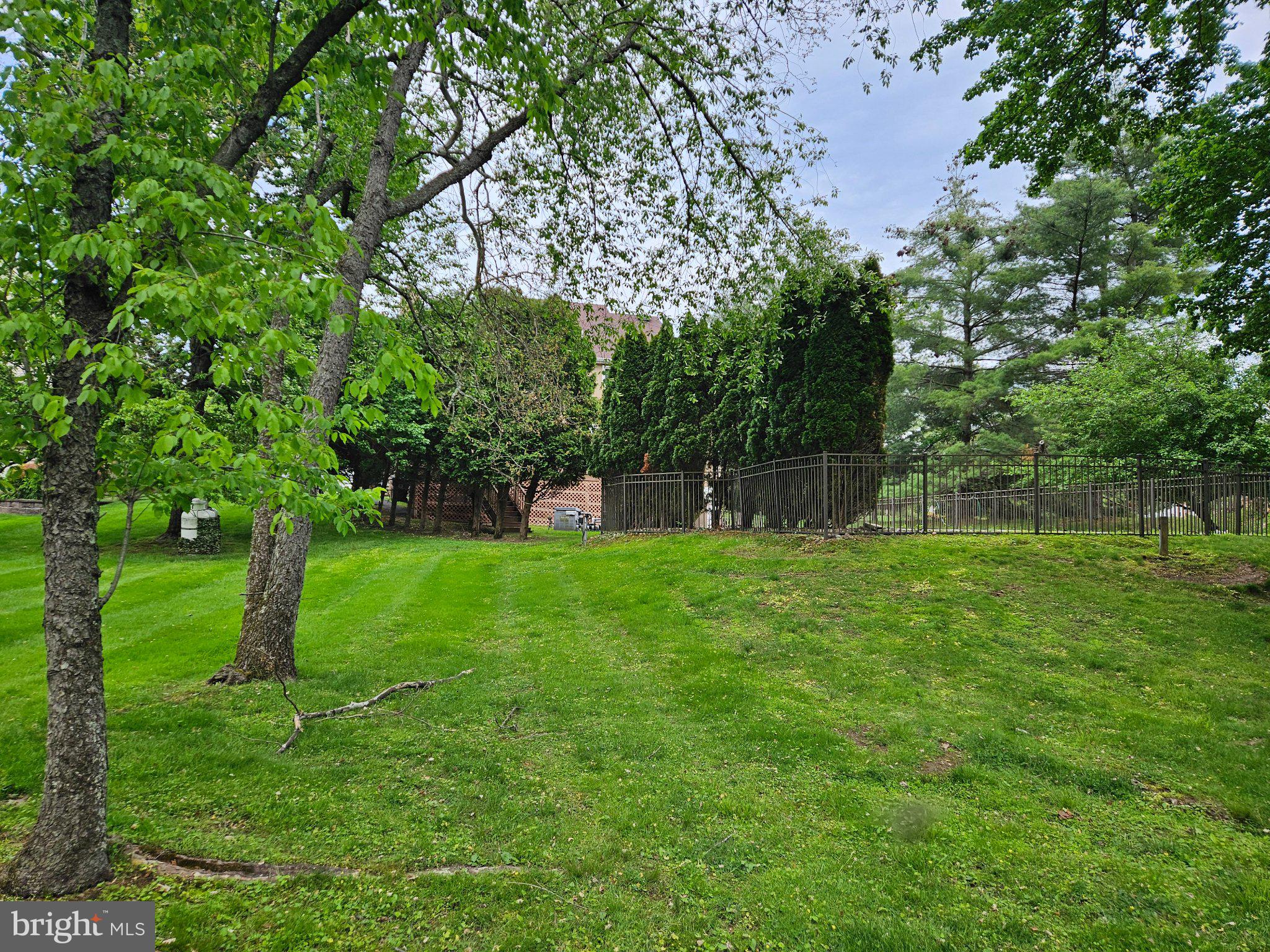 12 Tanyard Road Richboro, PA 18954 - Photo 60 of 62 Lush green yard with serene backdrop.
