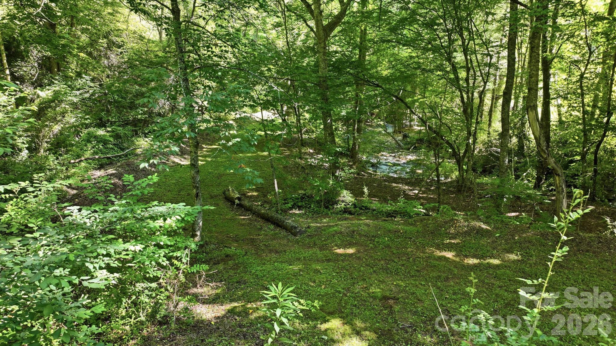 Tbd Dark Ridge Road Sylva, NC 28779 - Photo 8 of 17