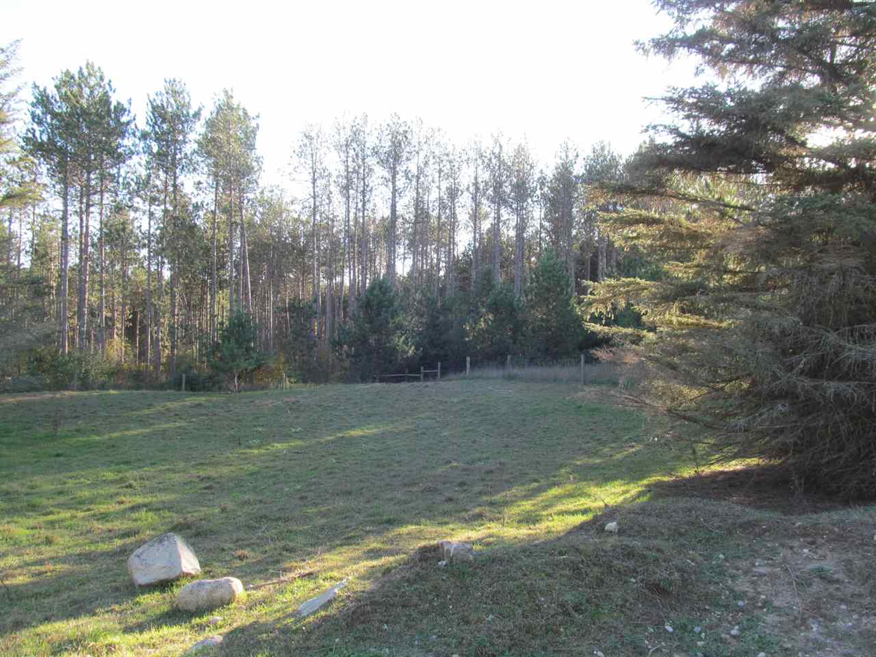 7290 East 50 Road Cadillac, MI 49601 - Photo 19 of 33 1854359-18.JPG