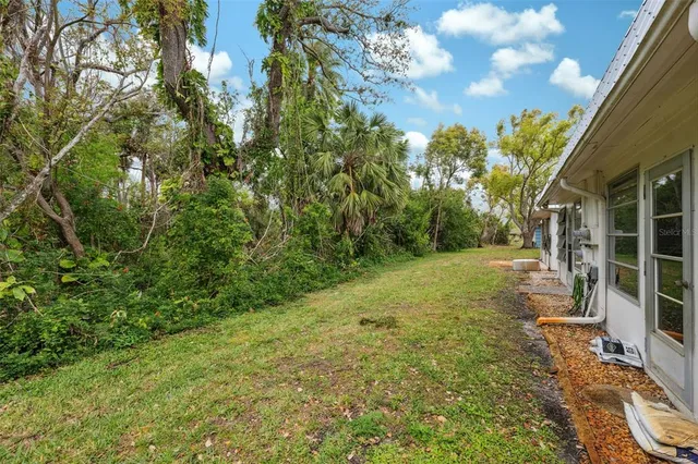 a view of a yard with plants and large trees